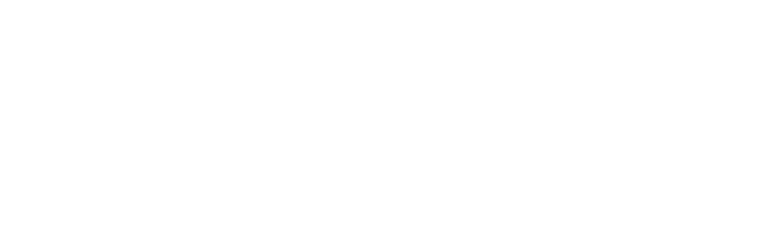 Liquide Logo